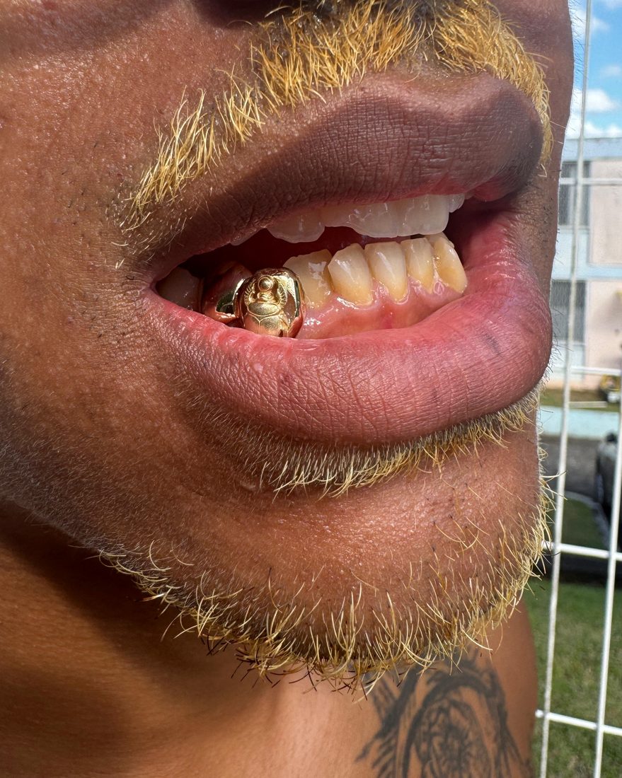 Grillz scarabée porté
