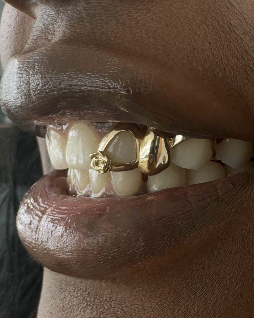 Grillz 3 dents et rose porté
